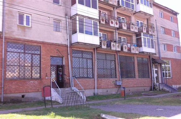 Oportunitate de investiție – spațiu comercial de închiriat de 70 mp în Biled, județul Timiș
